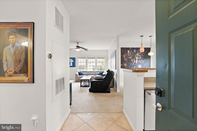 22655 Blue Elder Terrace unit 304, Ashburn, VA 20148 - photo 6