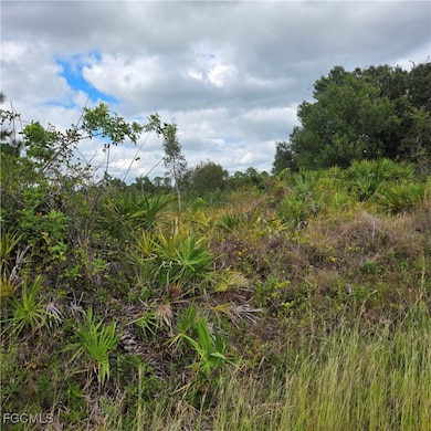 From the Left side of the lot looking across the back of the lot