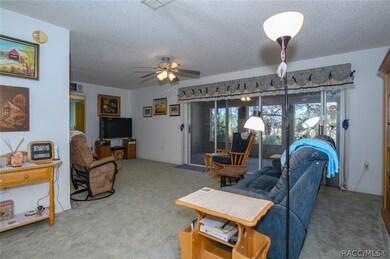 Large Open Living Room To Covered Lanai