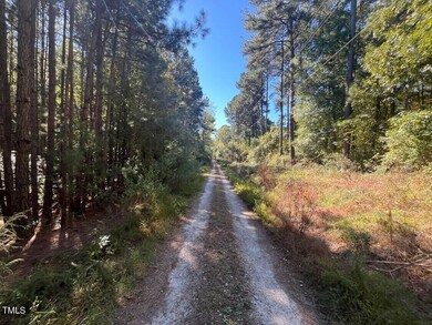 0 Crump Rd, Raleigh, NC 27606 - photo 3