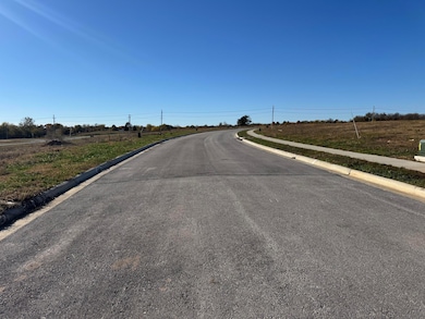 1148 E Macon St, Republic, MO 65738 - photo 2