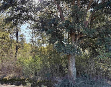 TBD Bucklin Rd, Jennings, LA 70546 - photo 6