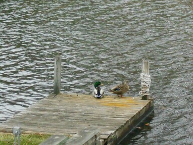 2018 Island Dr, Wayland, MI 49348 - photo 4