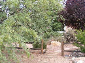 The front landscaping feels like a park