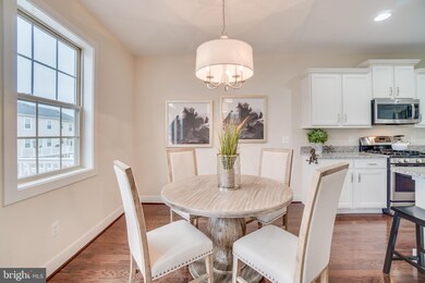 46673 Joubert Terrace, Potomac Falls, VA 20165 - photo 5