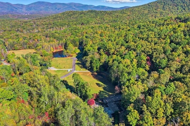 1047 Tickanetley Rd, Ellijay, GA 30536 - photo 4