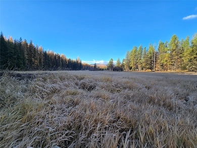 1310 W Tamarack Ln, Troy, MT 59935 - photo 5