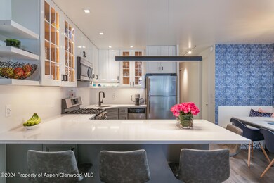 450 S Original St unit 4, Aspen, CO 81611 - photo 7