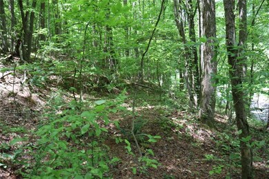 View of nature