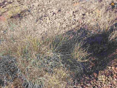x Iron Wood Rd SE, Deming, NM 88030 - photo 4