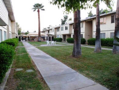 Courtyard (2)