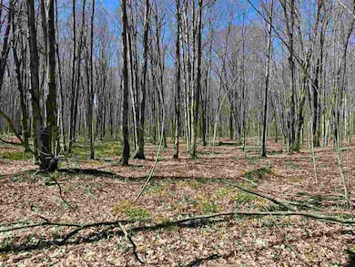 tbd W Side Dr, Beaver Island, MI 49782 - photo 2