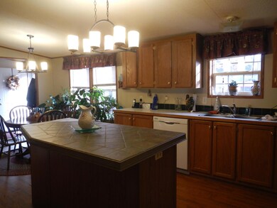 Kitchen View 2