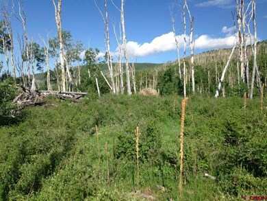 25889 Highway 65, Cedaredge, CO 81413 - photo 3