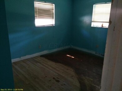 photo 1 (13)