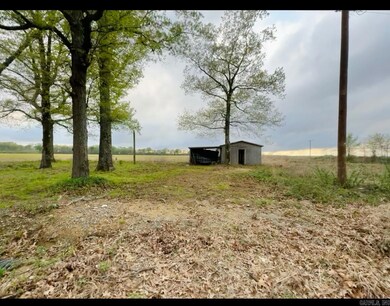 21 Pike Ln, Almyra, AR 72003 - photo 4