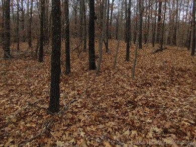 463977 Whitewater Ridge Rd, Proctor, OK 74457 - photo 5