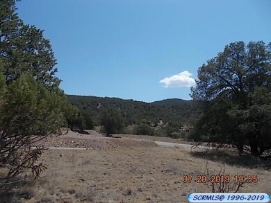 0 Wilmot Rd, Silver City, NM 88061 - photo 6