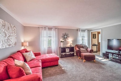 Living Room Freshly Painted & Newer Carpet