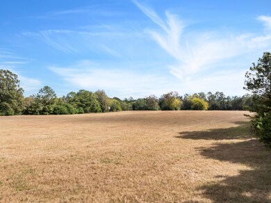 1561_Shubuta_Eucutta_Rd-6