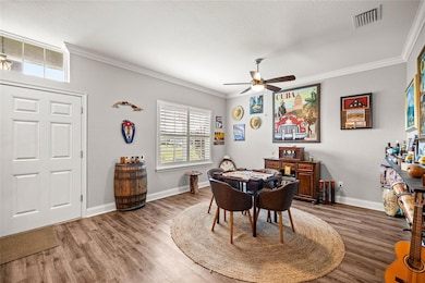 Living Room _ Ceiling Fan