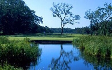 529 Marsh Hen Dr NE, Shellman Bluff, GA 31331 - photo 5