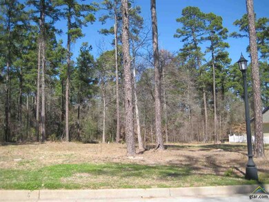 3984 Spartanburg, Tyler, TX 75701 - photo 2