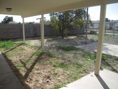 Backyard 1