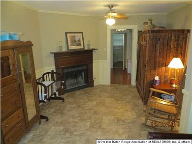Den, fireplace, custom closet
