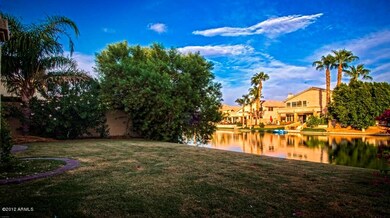 Back yard 2