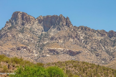 2257 E Skipping Rock Way, Tucson, AZ 85737 - photo 7