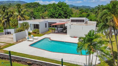 Backyard Aerial View II
