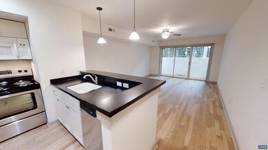 1521 Virginia Ave unit 4, Charlottesville, VA 22903 - photo 3