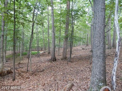 LOT 44 Boiling Springs, Gerrardstown, WV 25420 - photo 7