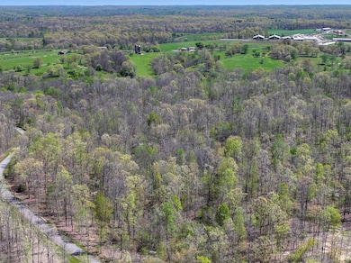 0 Slaughter Rd unit RTC3017612, Primm Springs, TN 38476 - photo 7