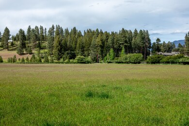 Finley Point 7