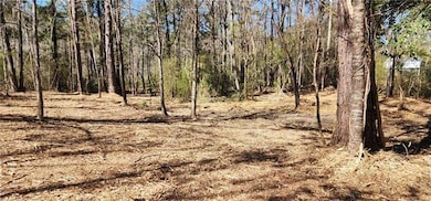 Lot 102 Bleu Lake Dr, Covington, LA 70435 - photo 3