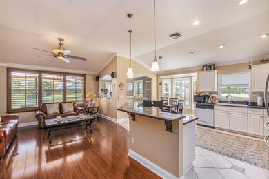 408 Cypress View Dr, Oldsmar, FL 34677 - photo 5