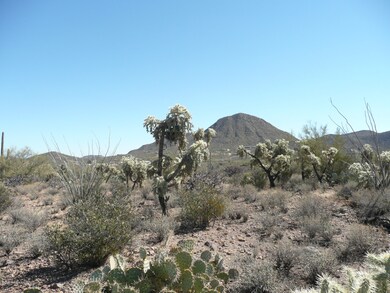 -View  towards Southeast of Lot