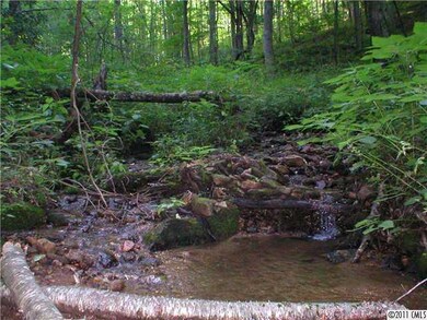 unlisted-address, Burnsville, NC 28714 - photo 3