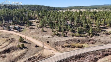 Aerial view with a forest view