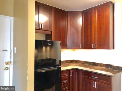 River Place South unit 706, Arlington, VA 22209 - photo 5