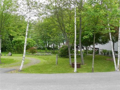 Yard/Garden.