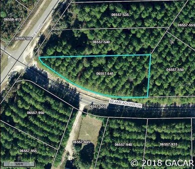 Lot 9 Sea Meadows Dr, Perry, FL 32348 - photo 3