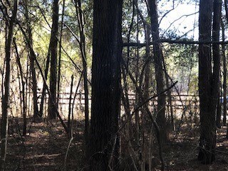 TBD Wolf's Thick Rd, Cordele, GA 31015 - photo 3