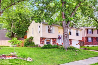 6704_Cub_Ct_40291__1004