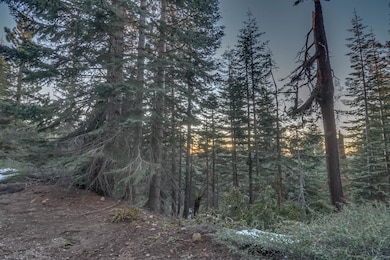 0 Prather Meadow Rd unit 225152963, Twain Harte, CA 95223 - photo 6