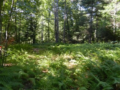 118 Chestnut St, Douglas, MA 01516 - photo 4