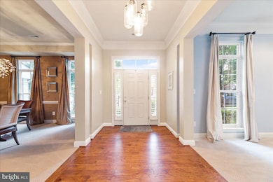 42717 Explorer Dr, Ashburn, VA 20148 - photo 7