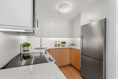 17 Healey St unit 101, Cambridge, MA 02138 - photo 7